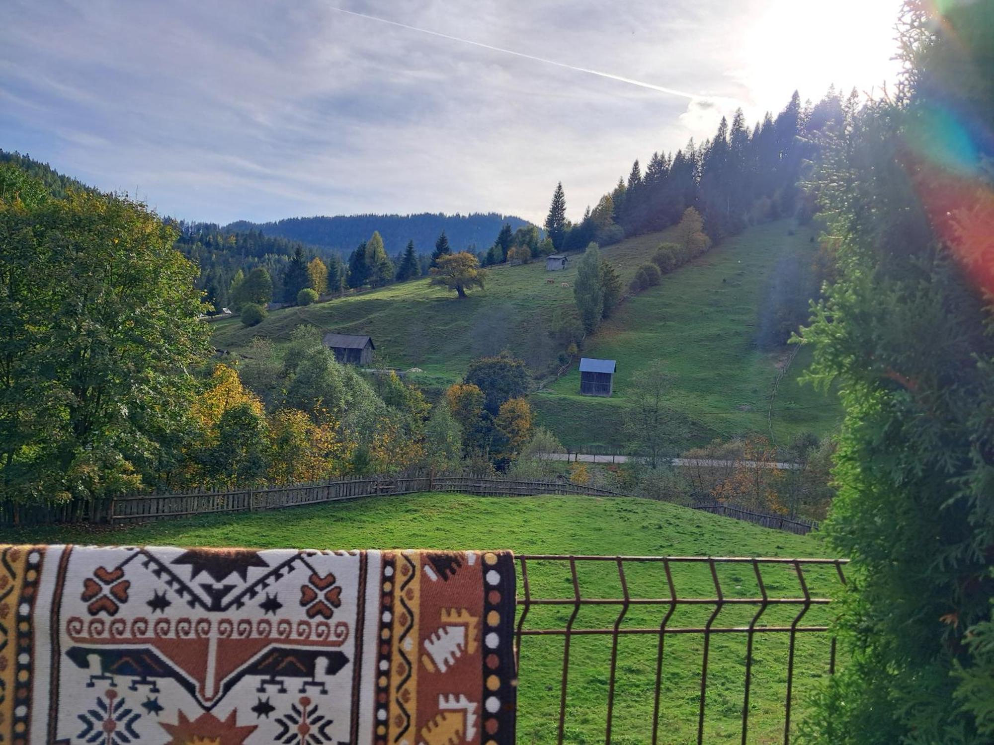 Casa Ionescu Hotel Садова Стая снимка