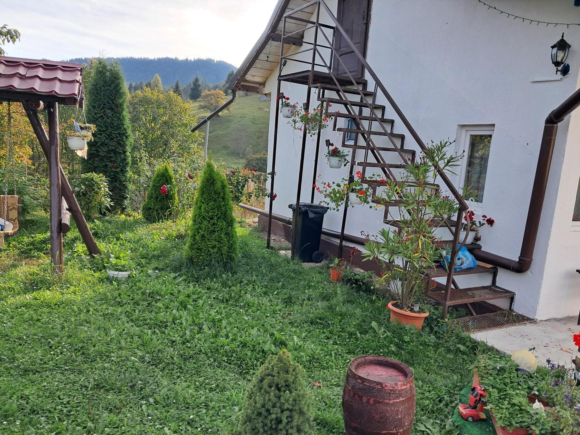 Casa Ionescu Hotel Садова Стая снимка