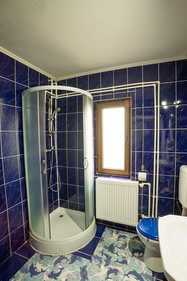 Casa Ionescu Hotel Садова Екстериор снимка